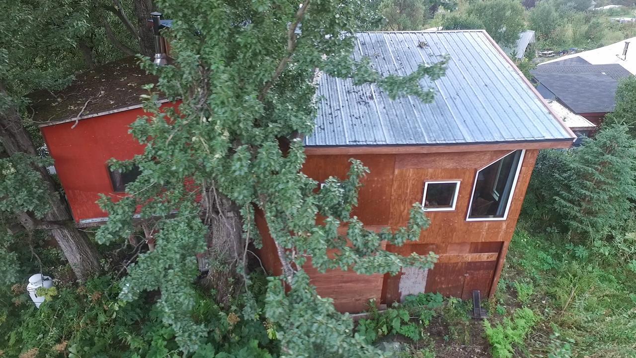cottonwood cabins Fritz Creek Buitenkant foto