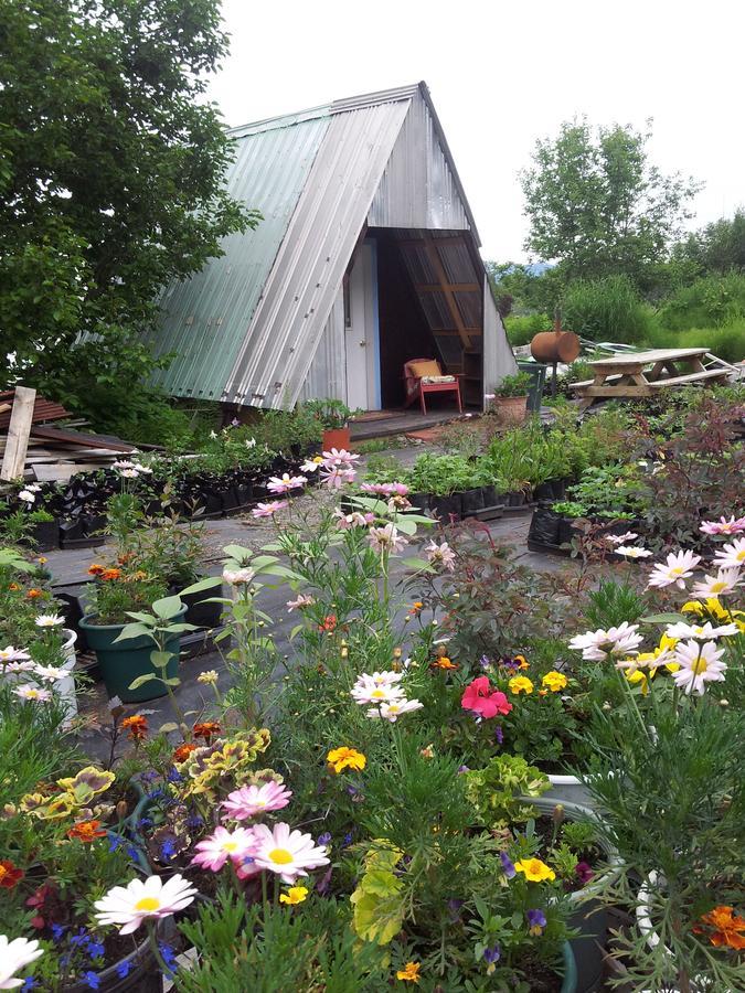 cottonwood cabins Villa Fritz Creek Buitenkant foto